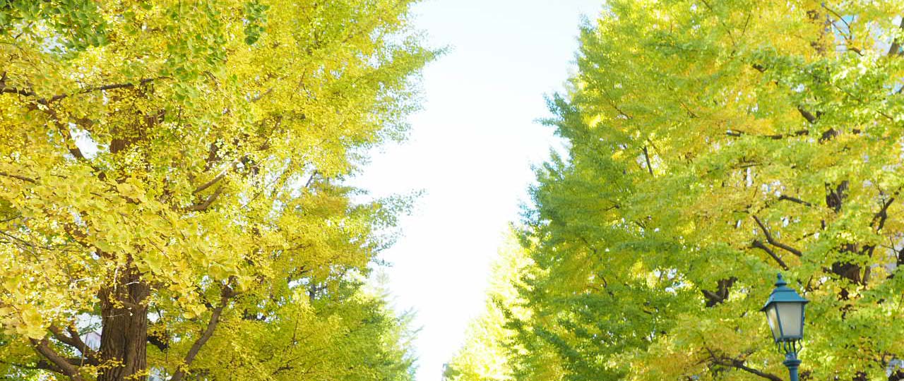 京織工房 帯の仕立